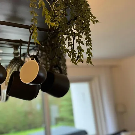 Nilo جارمش بارتنكيرشن